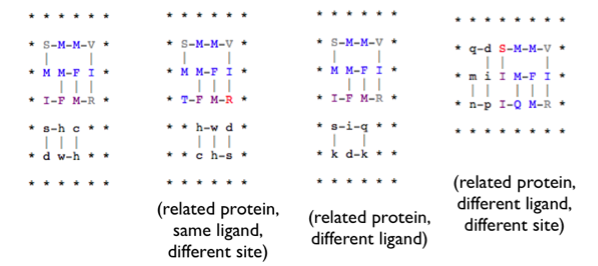 lattice-protein-examples